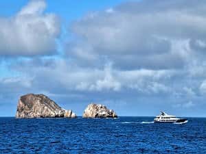 Albatros Tours — photo 2