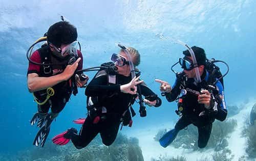 Blue Crew Divers