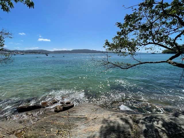 Paraíso das Tartarugas — photo 2