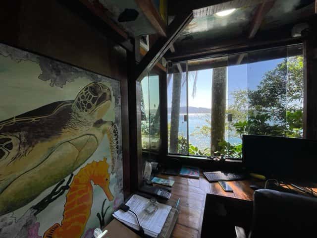Paraíso das Tartarugas — photo 5