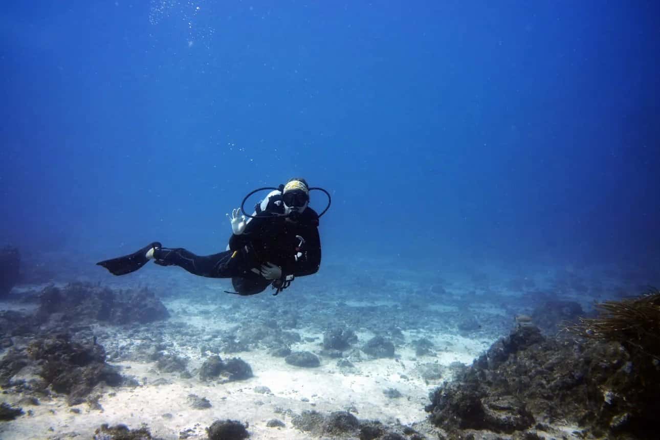 Friendly Island Divers — photo 3