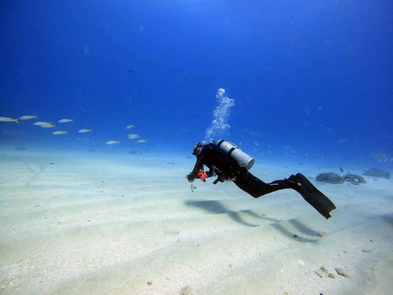 Friendly Island Divers — photo 2