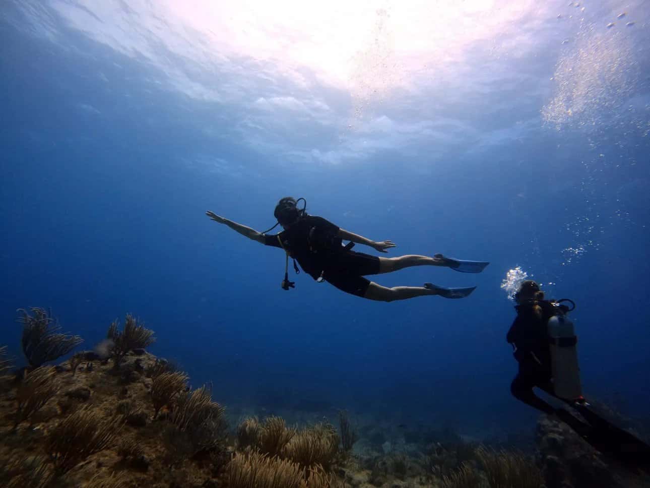 Friendly Island Divers