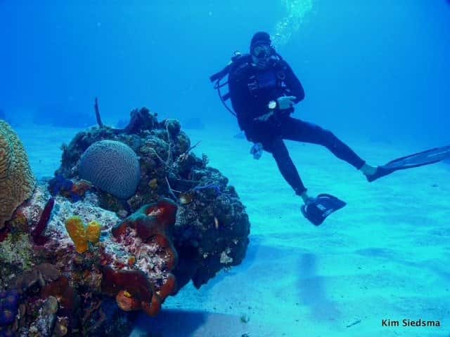 Dive In Scuba — photo 3
