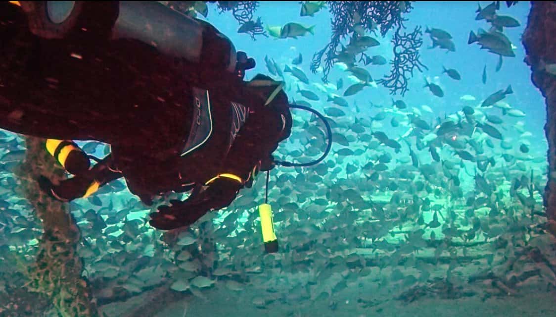 ScubaFortLauderdale.com - American Dream II — photo 5