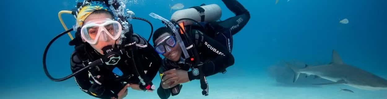 The Dive Trainer