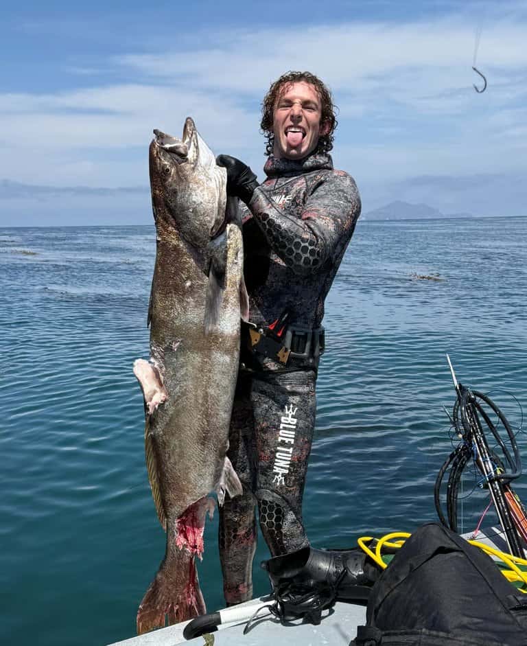 Ventura Dive Charters — photo 2