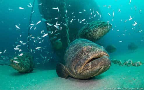 Gulfport Dive Center