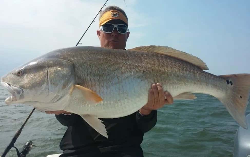 Outer Banks Fishing Charters LLC