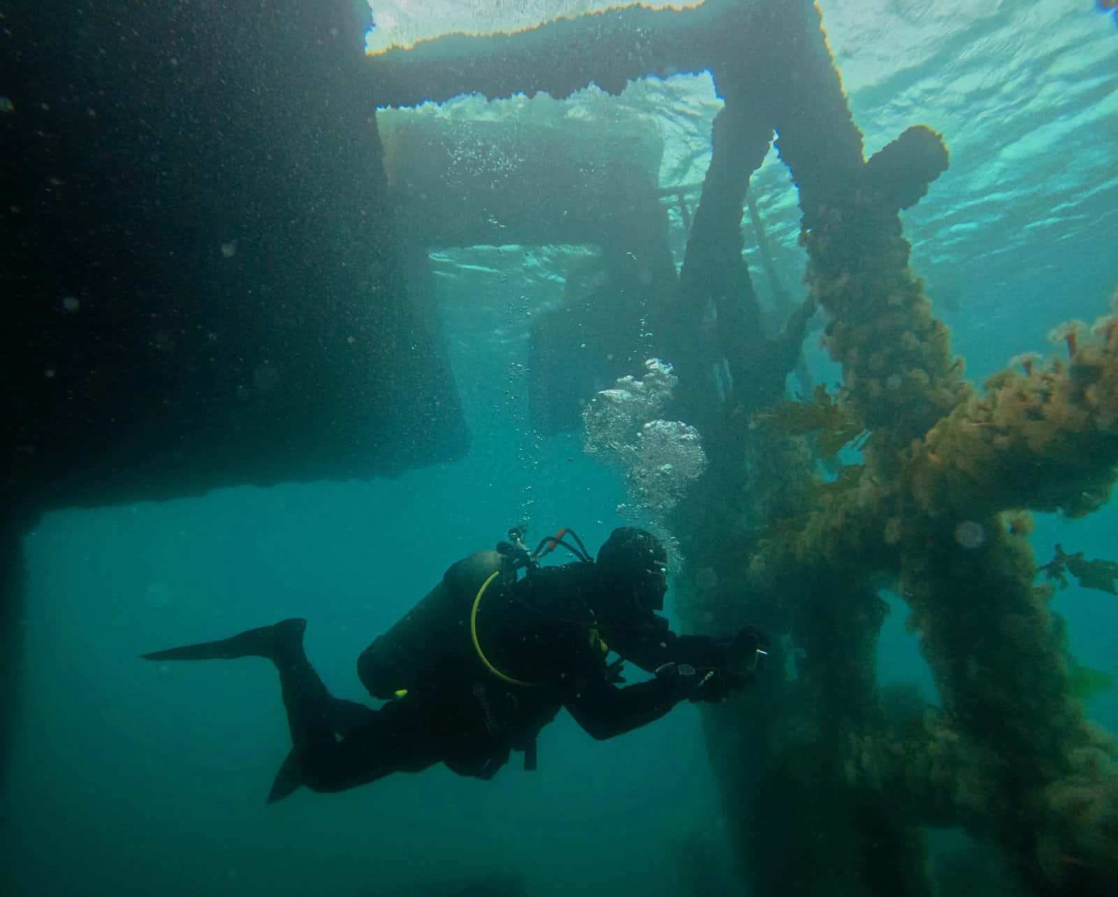 Madryn Buceo — photo 4