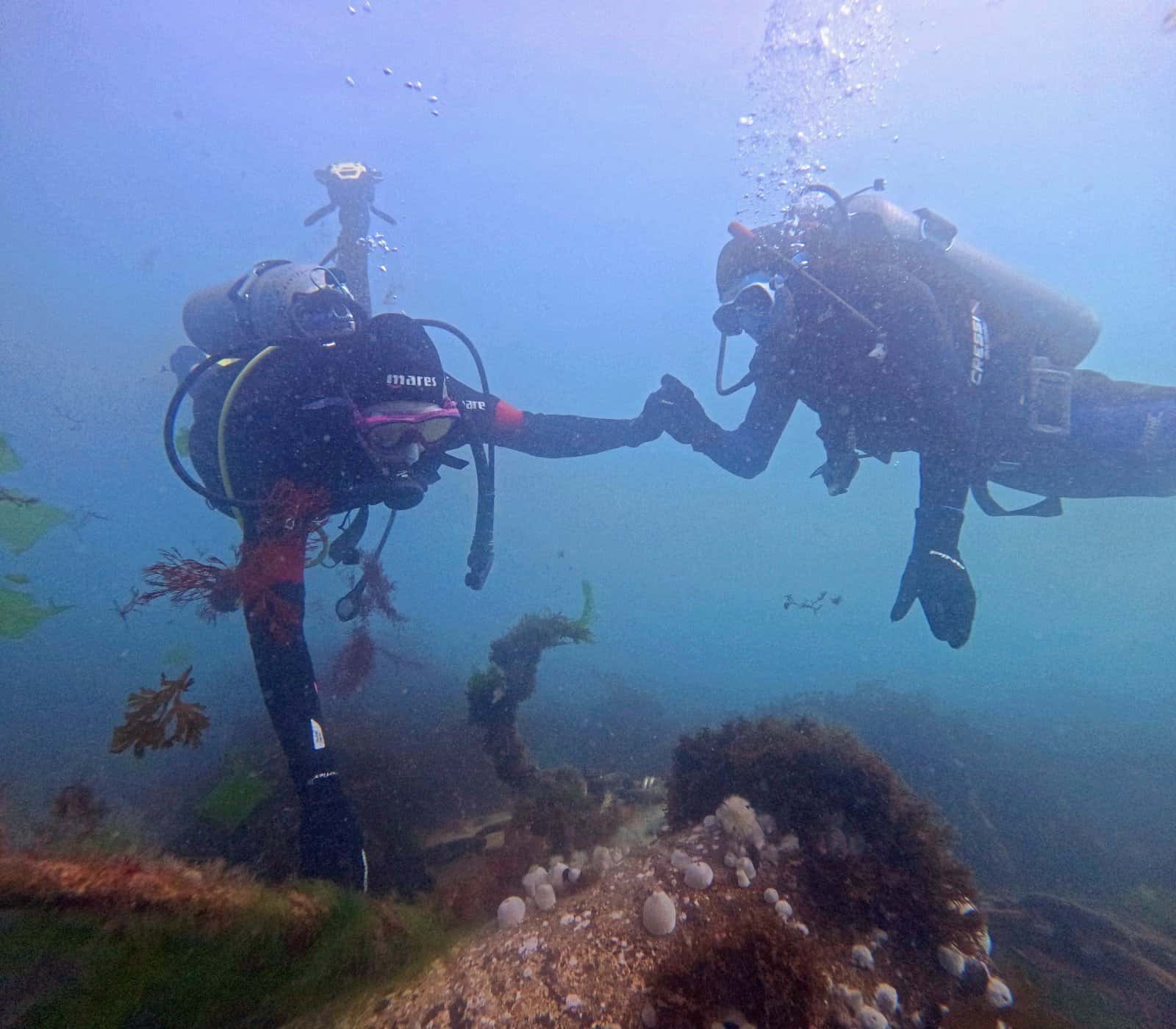 Madryn Buceo — photo 2