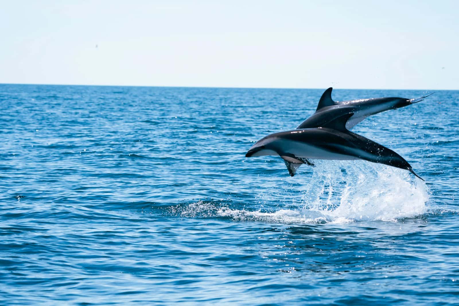 Madryn Buceo — photo 3