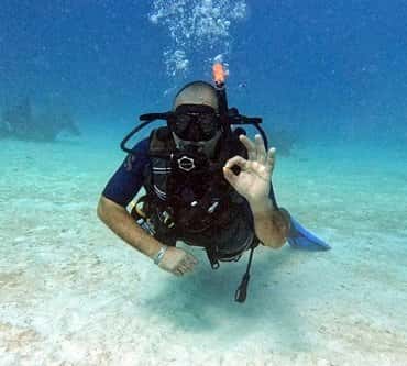 Ultra Marine Divers — photo 2