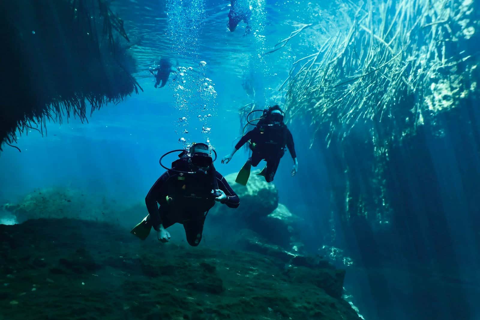 Mexidivers Dive Center