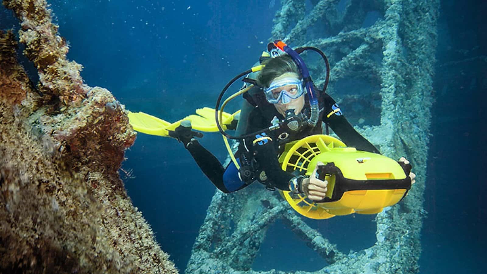 Octopus Gardens Diving