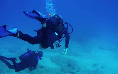 Deep Ocean Explore Store — photo 4