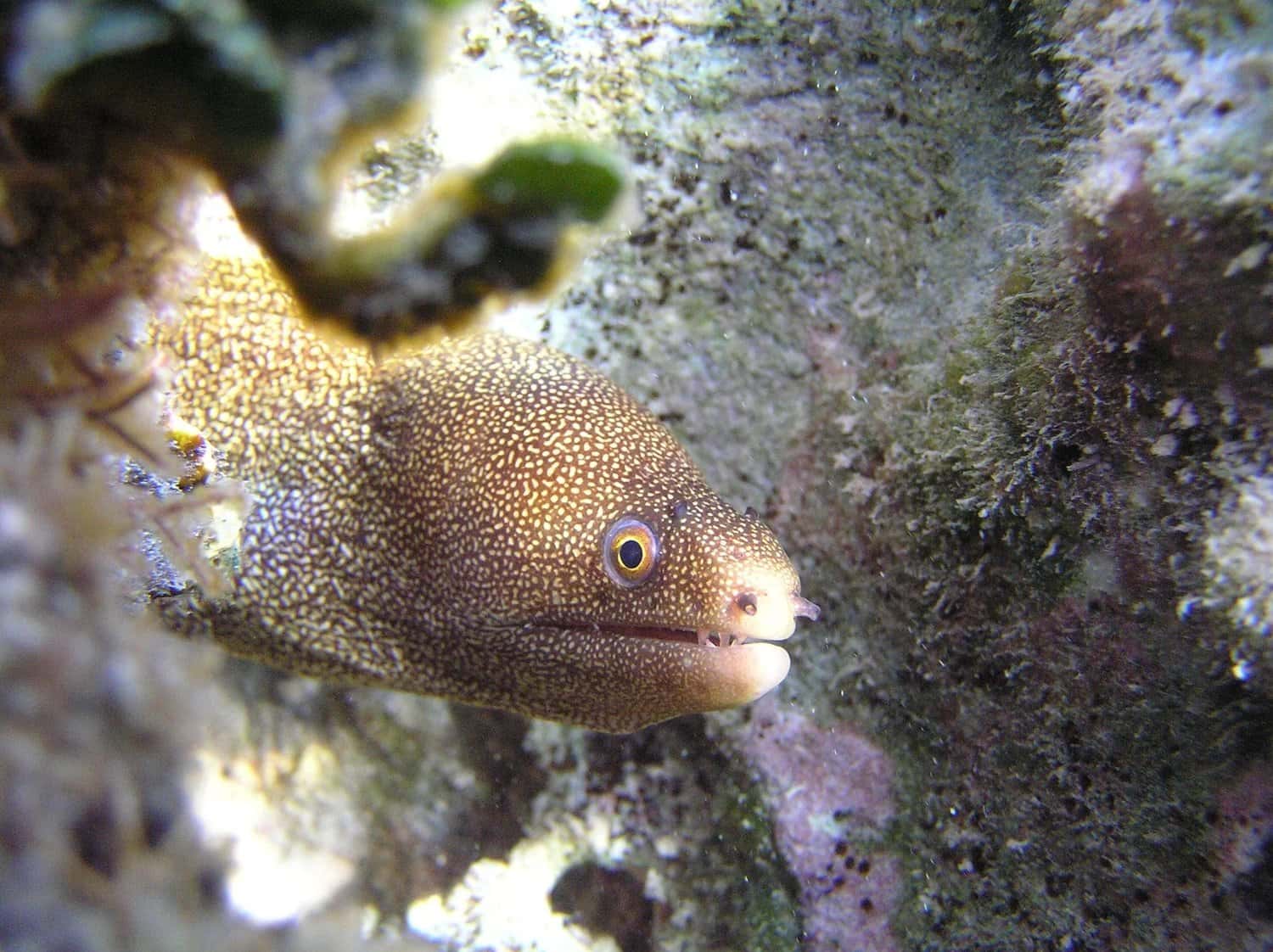 Aquanauts Dive Adventures — photo 4