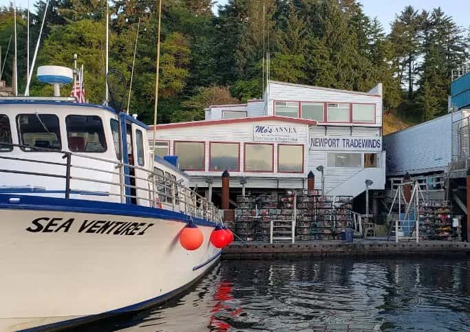 Newport Tradewinds Deep-Sea Fishing