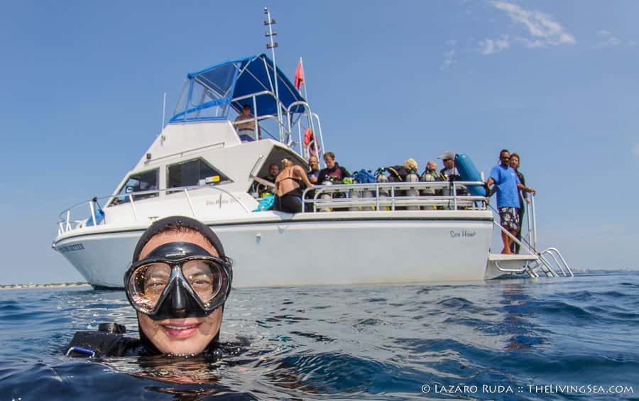Walker's Dive Charters