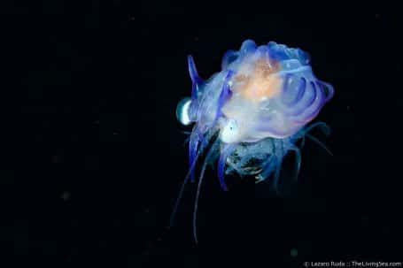 Walker's Dive Charters — photo 5
