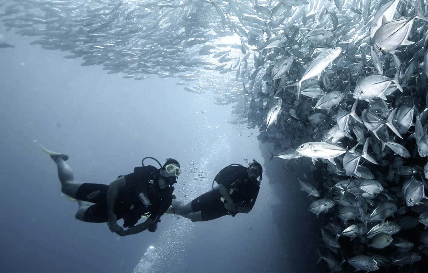 Oceano Adventure