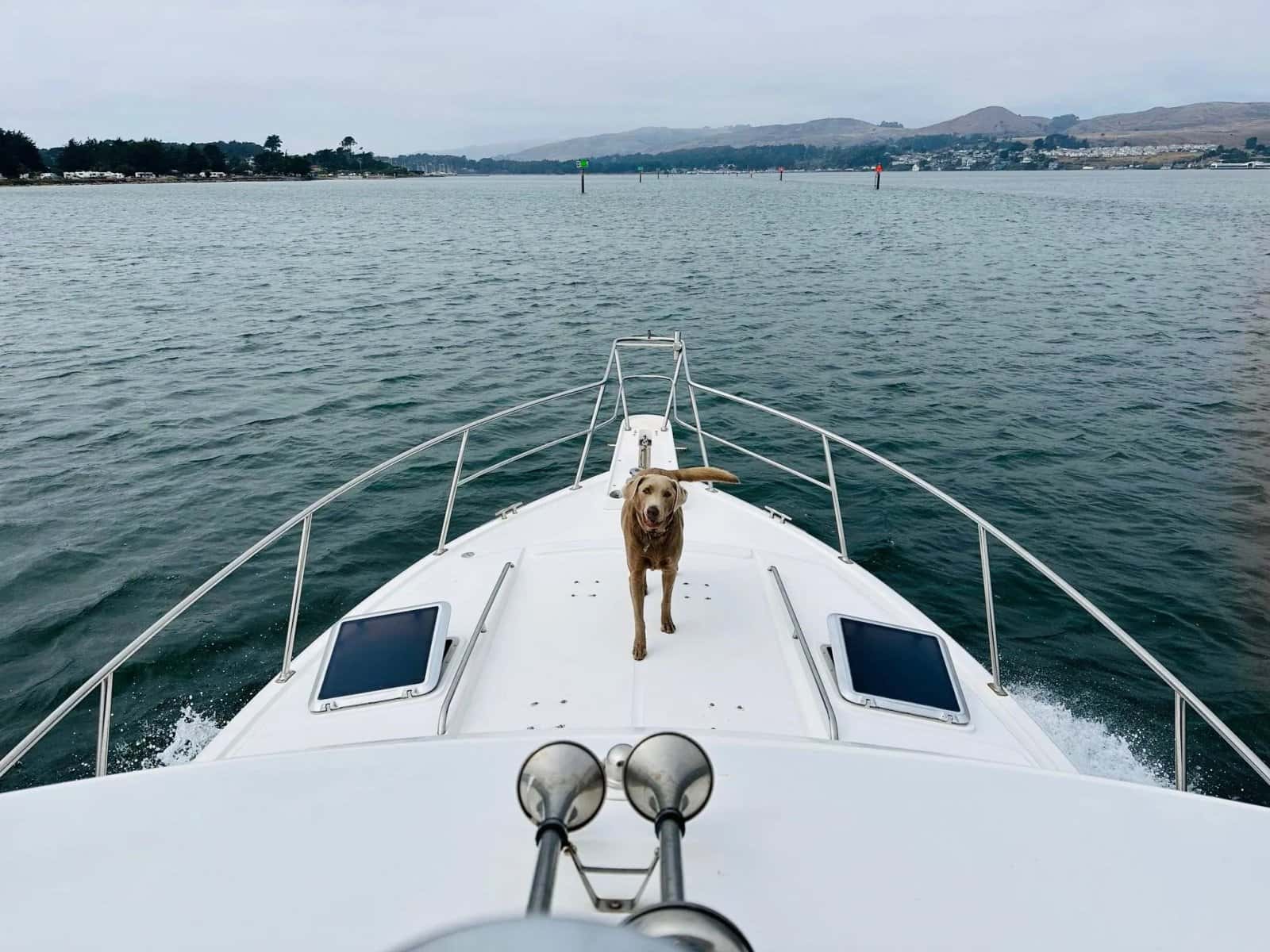Sonoma Coast Adventures