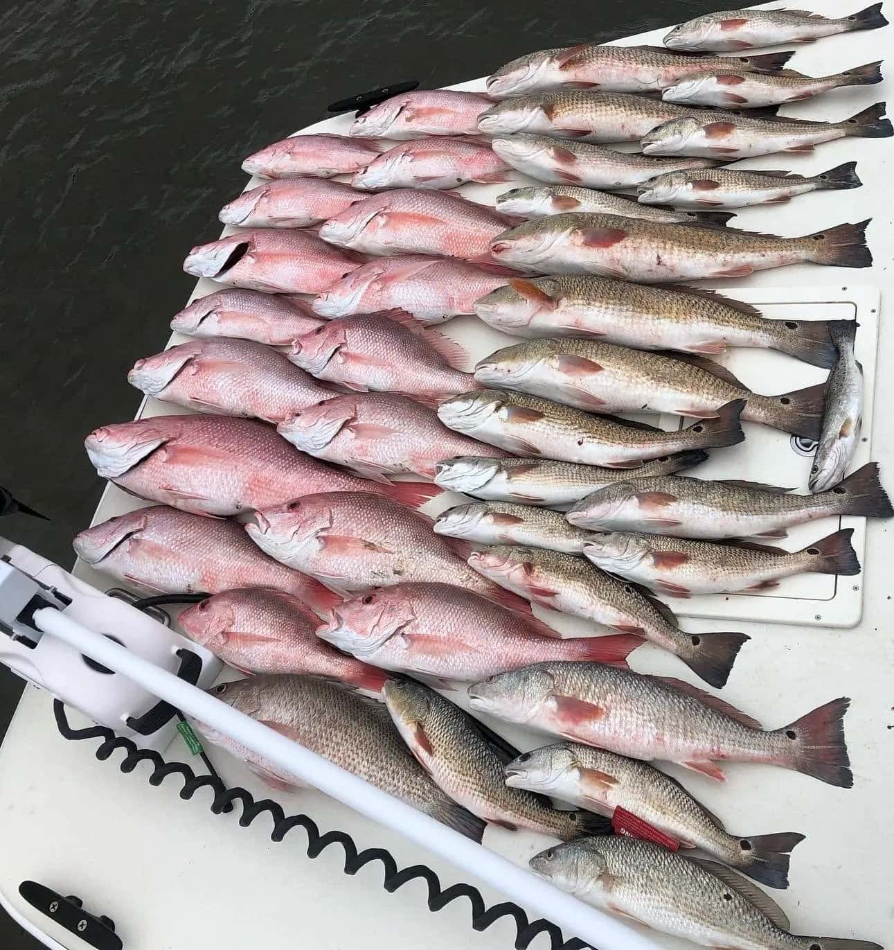 Southern Angler Fishing Charters