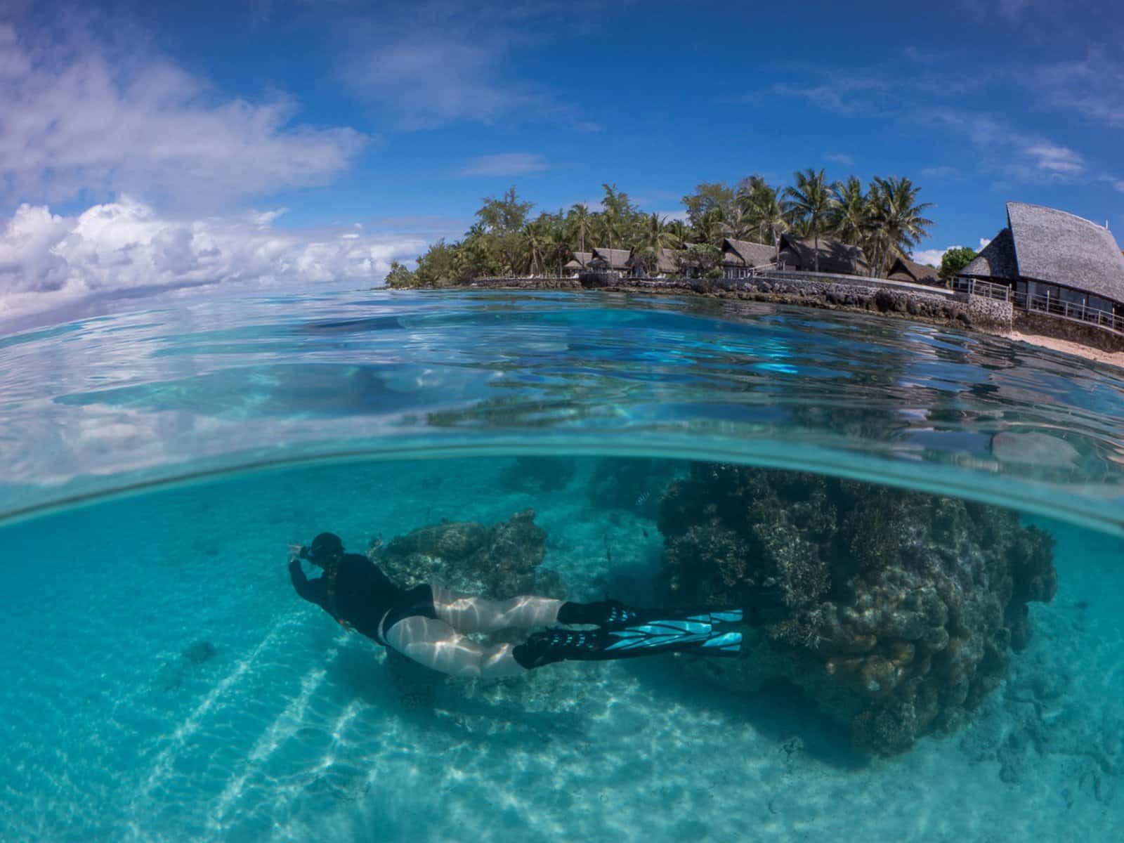 Dive Florida LLC
