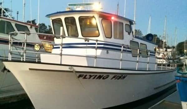 Patriot Sportfishing