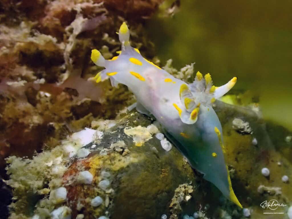 Dive Beyond — photo 3