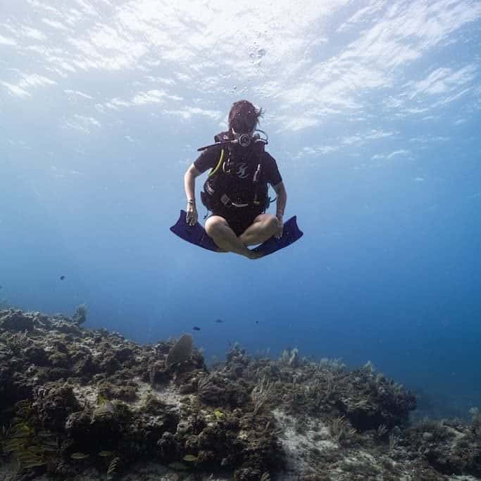 Aqua Adventures Eco Divers — photo 2