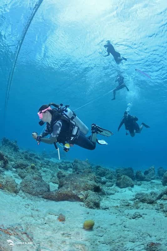 Scubaçao — photo 5