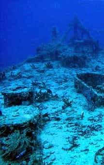 Rainbow Reef Dive Center