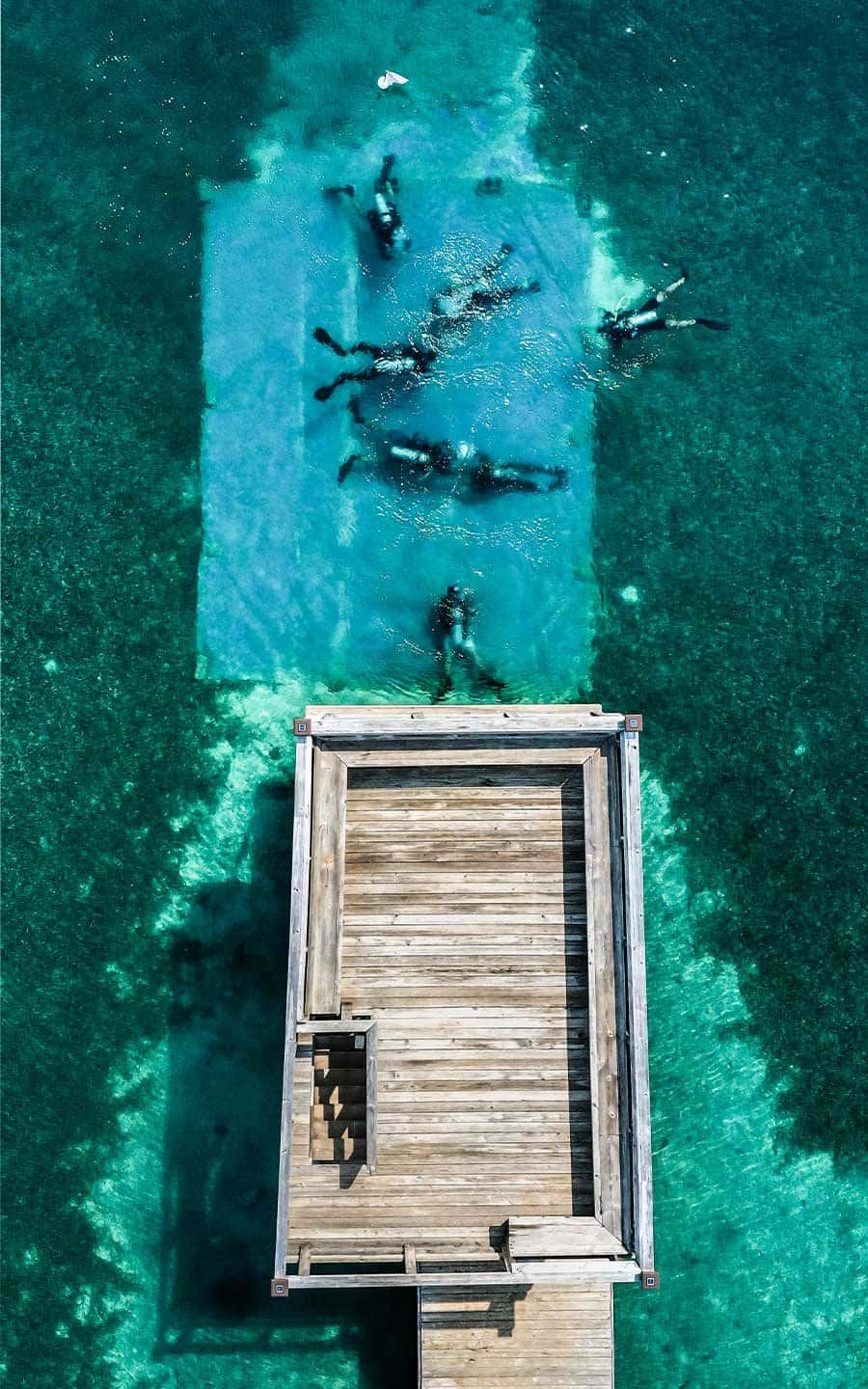 Utila Dive Center — photo 2