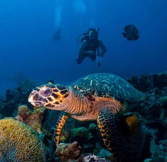 Holden Beach Scuba and Dive LLC