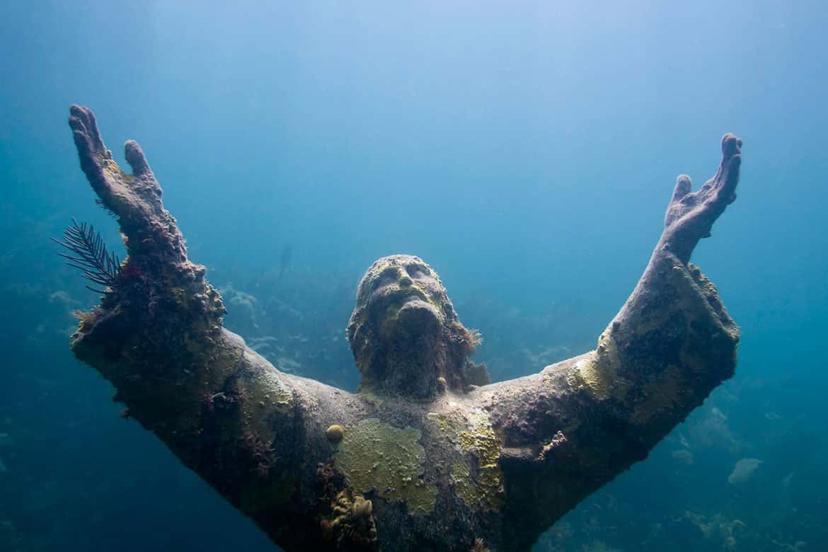 Key Largo Scuba Diving — photo 5