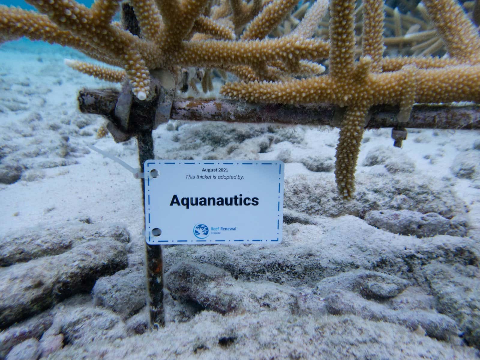 Aquanautics SCUBA Center