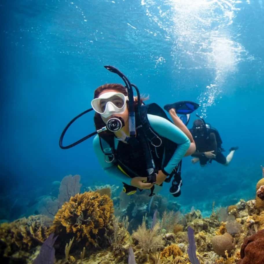 Tropix Divers