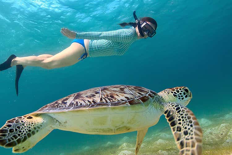 Amoray Dive Resort — photo 3