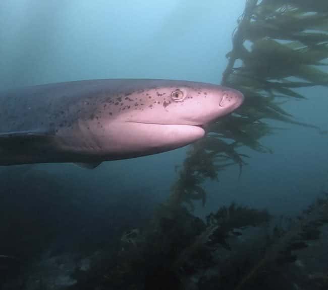 Waterhorse Charters — photo 2