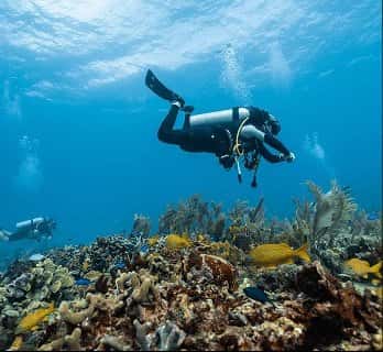 Aquatic Sports
