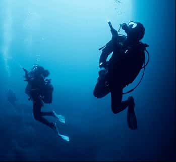 Aquatic Sports — photo 4