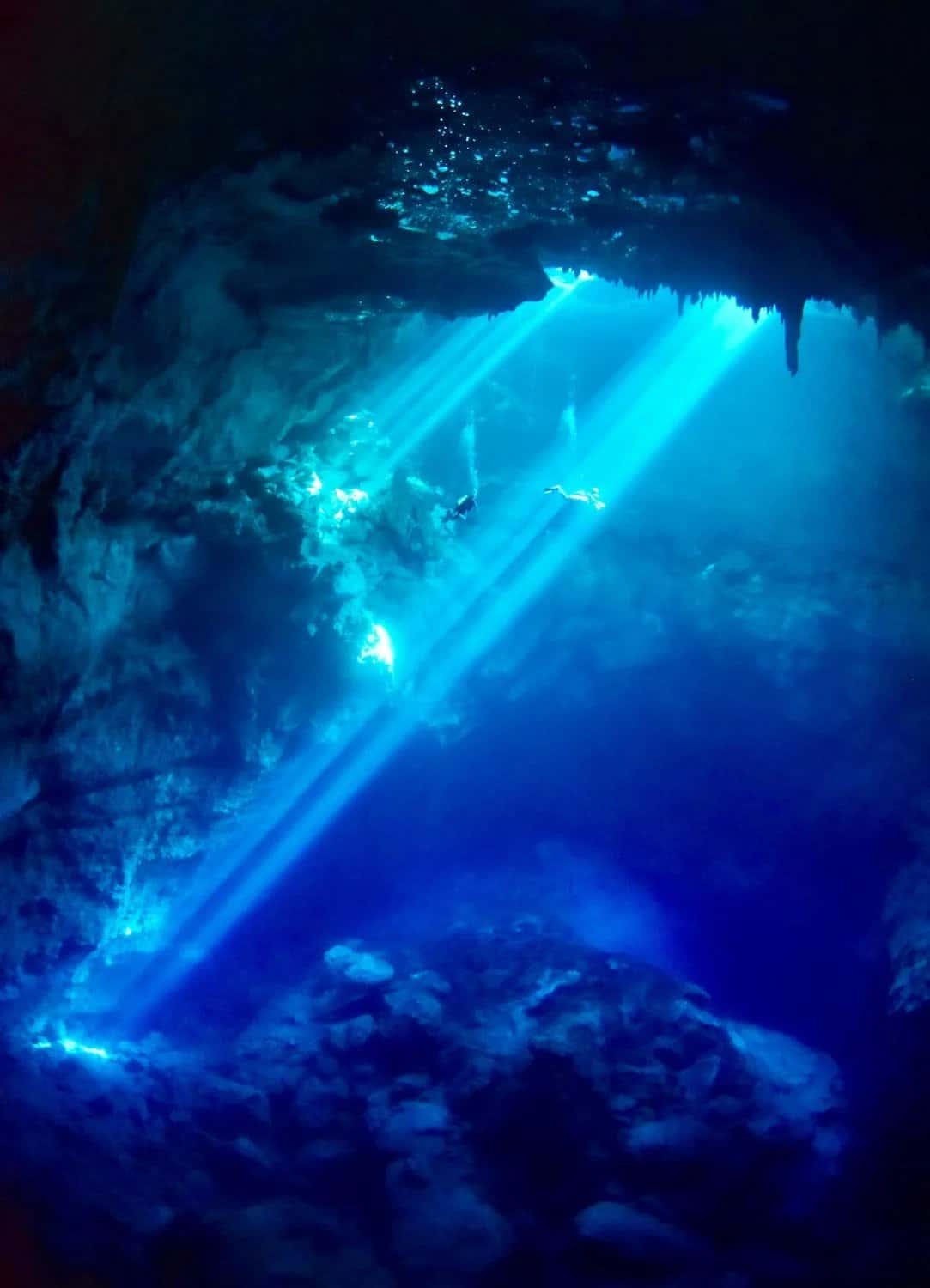 Diving Cenotes Tulum — photo 4