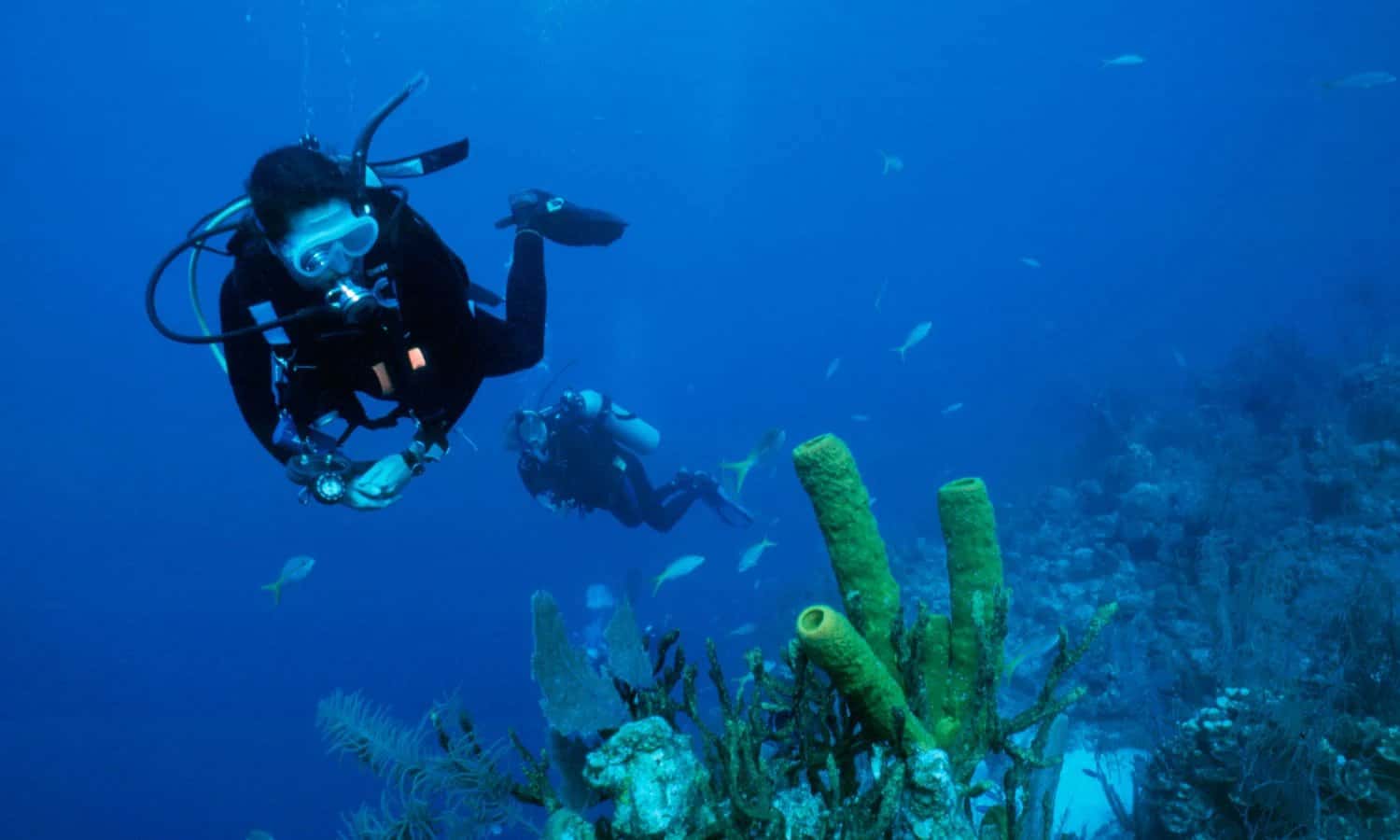 Divers@Sea — photo 3