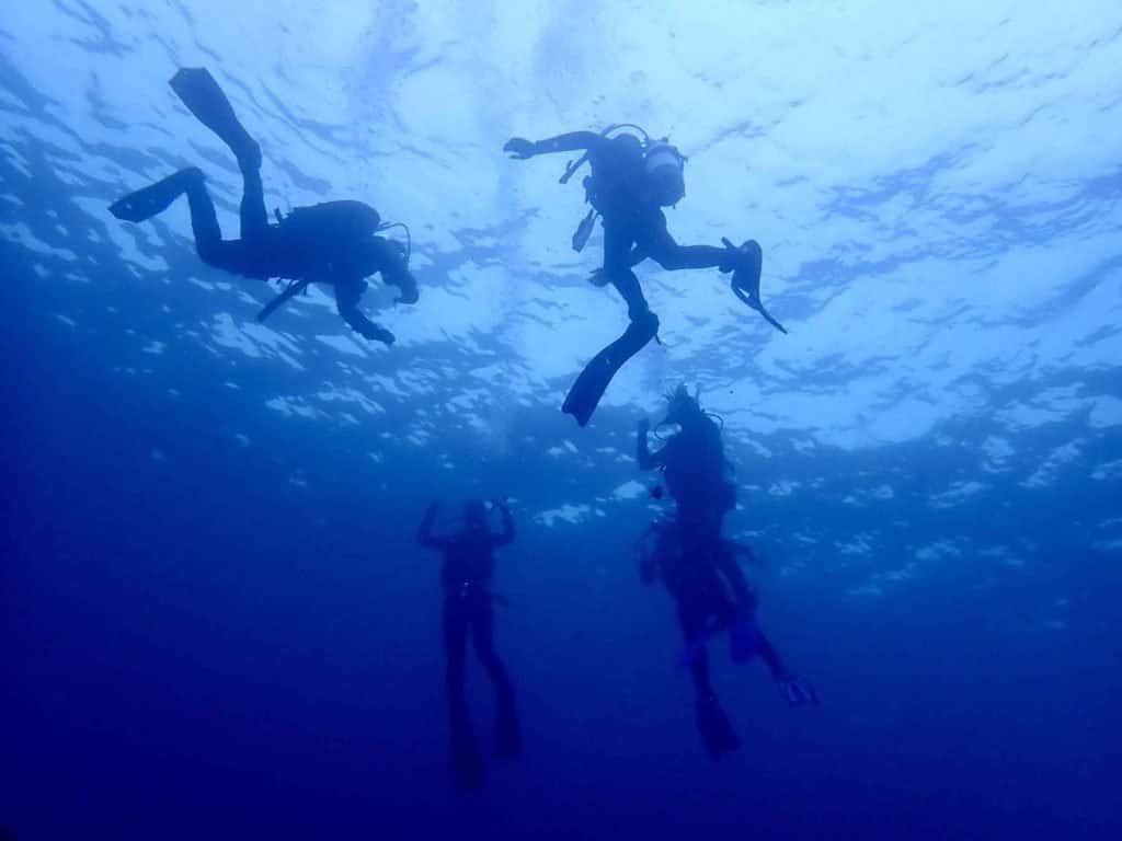 Dive Tulum