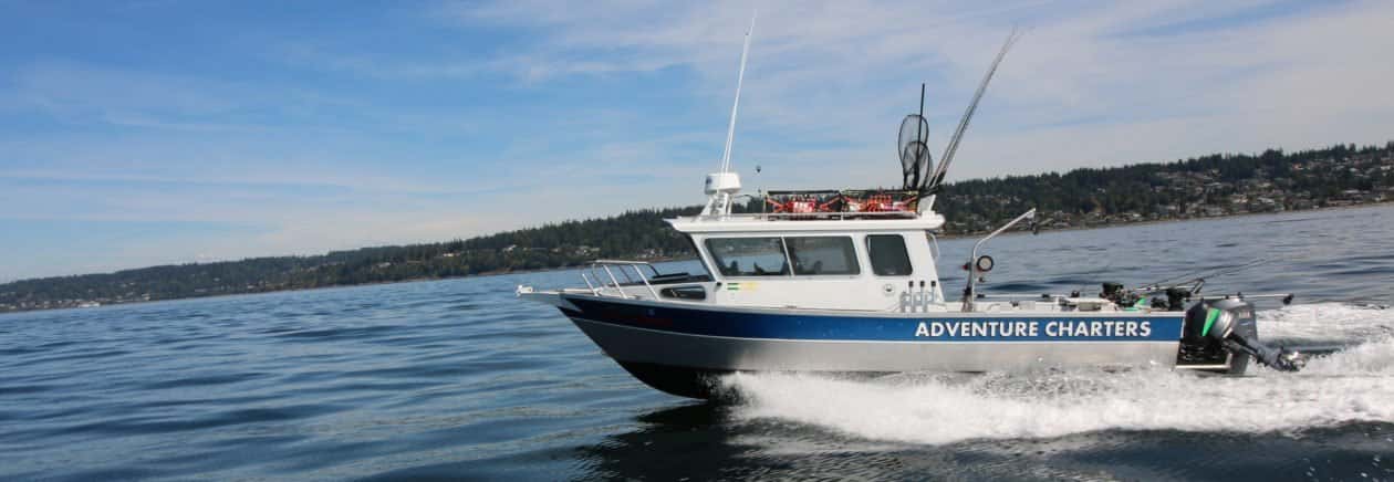 Adventure Charters