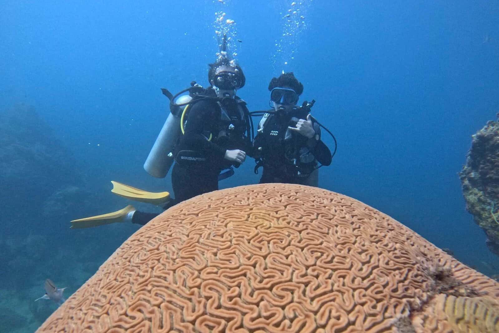 Sony Dive Center — photo 2