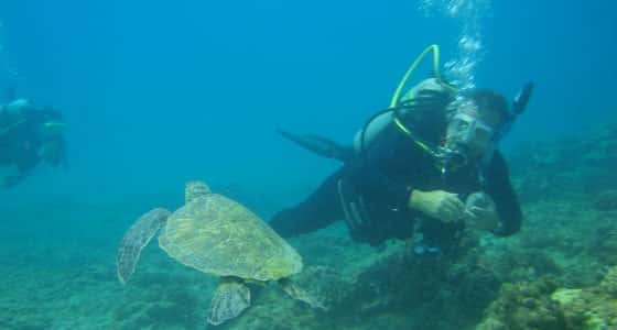 Scuba Club Auburn — photo 3