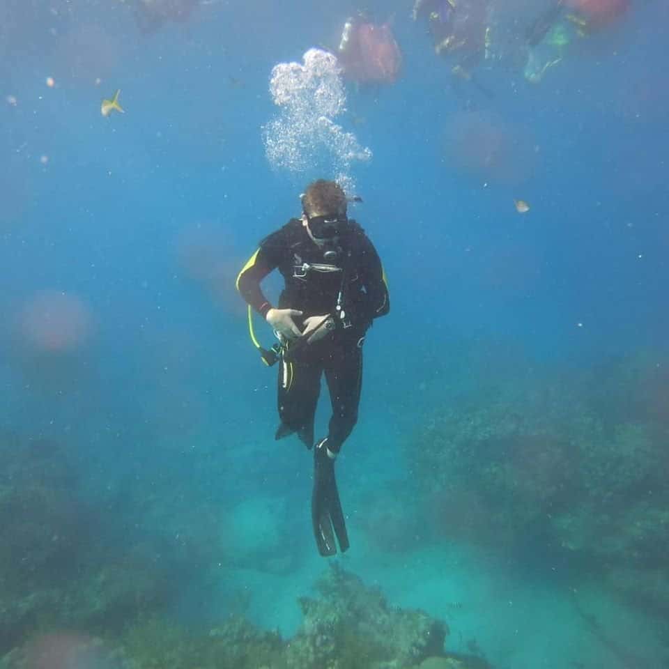 Shark Quest Dive Shop — photo 3