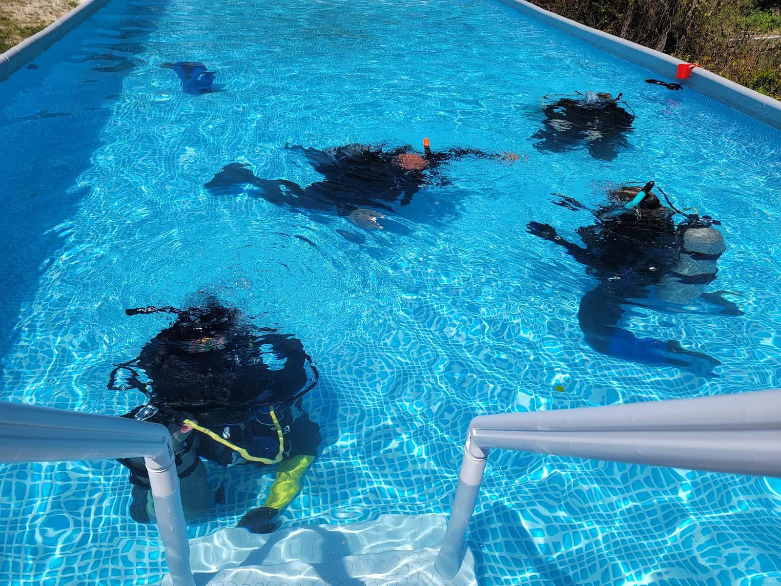 Shark Quest Dive Shop — photo 2